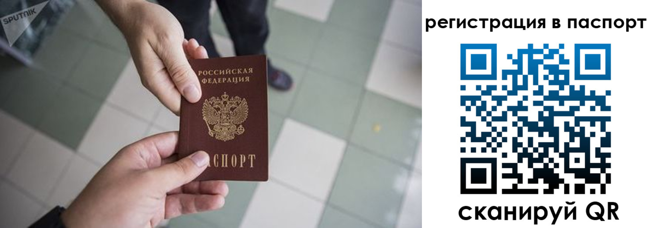 временная регистрация гарантия в Димитровграде